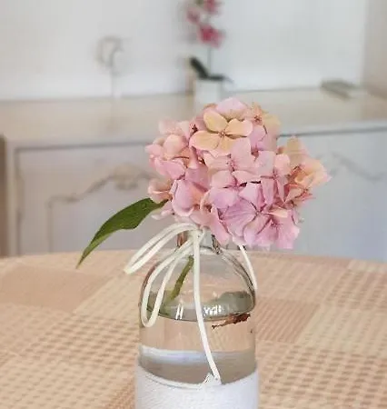 Maja Kanica Appartement *