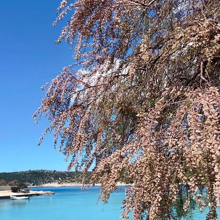 Maja Kanica Appartement Rogoznica (Sibenik-Knin)