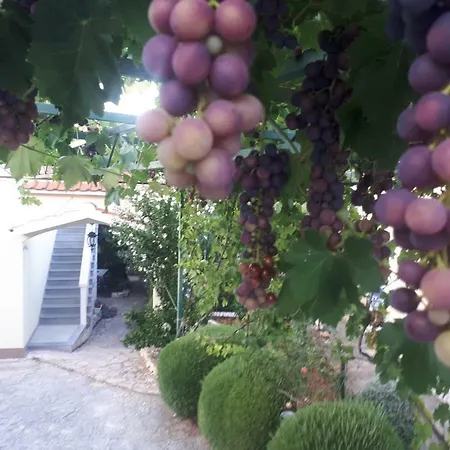 Maja Kanica Appartement Rogoznica (Sibenik-Knin)