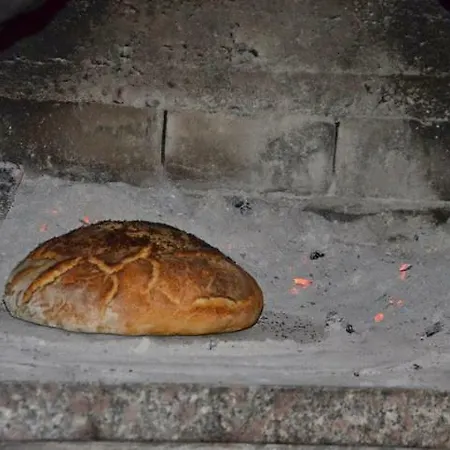 شقة Maja Kanica روغوزنيكا
