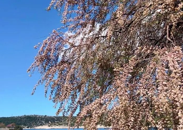 Maja Kanica Daire Rogoznica (Sibenik-Knin)