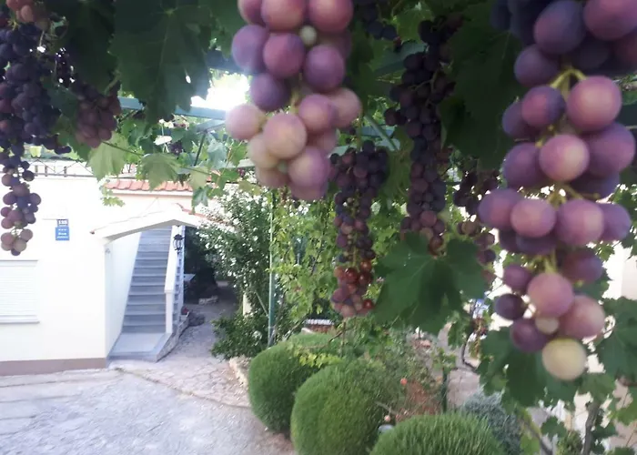 Maja Kanica Lejlighed Rogoznica (Sibenik-Knin)